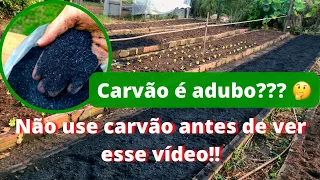 Carvão na Adubação da Horta 🤔