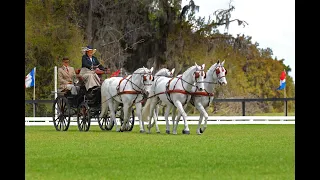 THE WALNUT HILL CARRIAGE DRIVING COMPETITION
