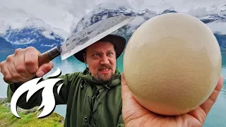 OSTRICH EGG XXXL MUFFIN asmr style 🔥🔥🔥