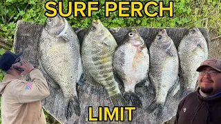 FISHING FOR SURFPERCH BAY AREA