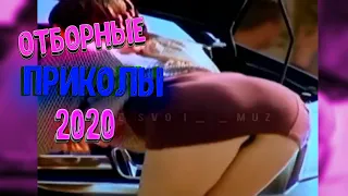 САМЫЕ СМЕШНЫЕ ВИДЕО ПРИКОЛЫ 2020 #3 ЛУЧШИЕ ПРИКОЛЫ ДО СЛЕЗ