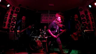 Dorylus live at the Fiddler's Elbow - London, video2