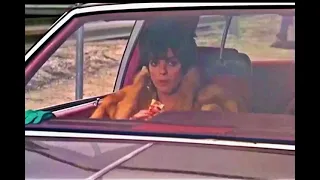 Liza Minnelli in Rent A Cop edit