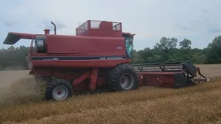 My First Wheat Harvest With A Case IH Combine Video!