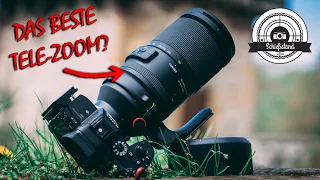 DAS BESTE TELE-ZOOM FÜR SONY E-MOUNT? TAMRON 150-500mm 5.0-6.7 im Review / Test