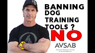 My Response to Banning Dog Training Tools