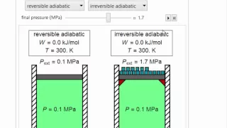 Reversible and Irreversible Expansion/Compression Work (Interactive Simulation)