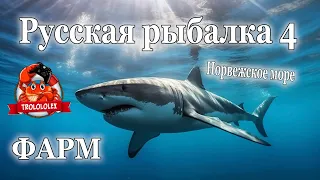 Русская рыбалка 4 Гигаджига на 80 банке  ФАРМ на Норвежском море