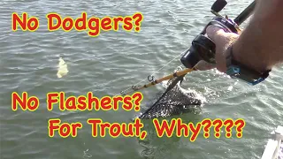 Trout Trolling: When Not To Use Dodgers & Flashers!