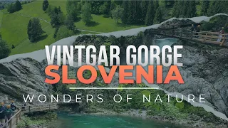 Vintgar Gorge - Slovenia - With Captions (turn on subtitles) - Wonders of Nature filmed in 4k