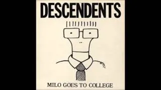 Descendents - I'm Not A Punk