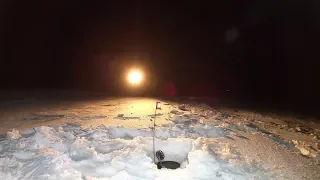 НОЧНАЯ РЫБАЛКА НА ВОДОХРАНИЛИЩЕ / NIGHT FISHING ON THE RESERVOIR