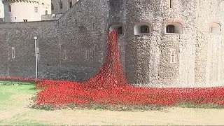 World War I: Poppies pour like blood out from the Tower of London