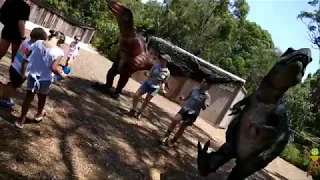 Australian Reptile Park Dinosaurs' Dance Performance