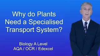 A Level Biology Revision "Why do Plants Need a Specialised Transport System?"