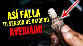 Asi Falla tu Carro con el SENSOR DE OXIGENO AVERIADO ✅