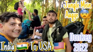 India 🇮🇳 To USA 🇺🇸 | Part - 04 | जंगल में घुस गए 😈। America 🇺🇸Donkey | Donkey 2022| 2 Numbari