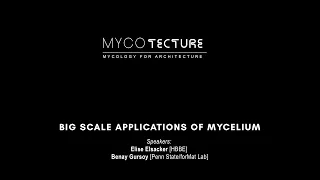 Mycology for Architecture: Big Scale Applications of Mycelium Composites