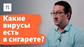 Вакцины на основе вирусов растений — Николай Никитин / ПостНаука