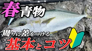 春のショアジギング・青物釣りの基本と攻略のコツを徹底解説！