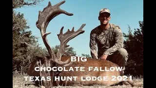 Chocolate Fallow Deer Hunt - Texas Hunt Lodge July 2021