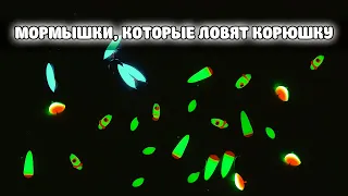 Лучшие УЛОВИСТЫЕ мормышки на КОРЮШКУ. Какие стоит купить и какие нет.