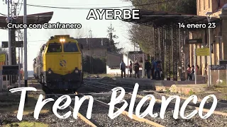 TREN BLANCO - Ayerbe, cruce con el Canfranero. 14 Enero 23.