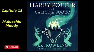 Harry Potter e il Calice di fuoco Audiolibro Italiano letto da Francesco Pannofino Capitolo 13