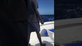 The best fishing in de Dominican Republic. Лучшая рыбалка в Доминикане с Чао Какао Тур.