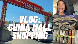 VLOG: CHINA MALL SHOPPING | JOHANNESBURG | AFFORDABLE HOMEWARE | SOUTH AFRICAN YOUTUBER