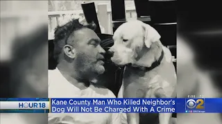 Kane County Man Who Killed Neighbor's Dog Will Not Be Charged With A Crime