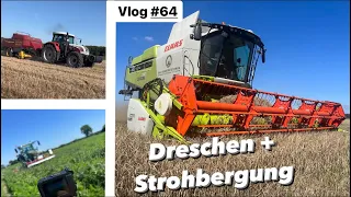 Stillstand beim Drescher und Getreidequalität im Keller! | PSM in der Karotte | Farmvlog #64