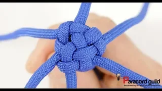 Fancy crown knot- 6 strands