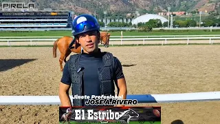 #HIPISMO ENTREVISTA JOSE A RIVERO ( DOMINGO 09 Junio 2024 - LA RINCONADA ) Con Leonardo Pirela👻