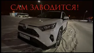 Toyota RAV4 2020 СТОЛКНУЛСЯ С ПРОБЛЕМОЙ Что делать?