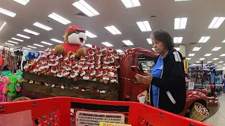 Buc-ee's Cart Cam