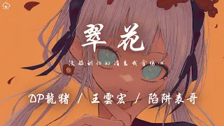 DP 龍豬/王雲宏/陷阱表哥 - 翠花「沒收到你的消息我會傷心聽了村長說你要相親 」【動態歌詞/PinyinLyrics】♪