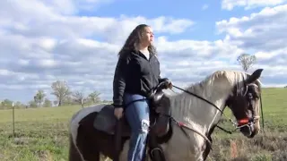 8th Annual Kick Off Northeast Texas Gaited Trail Ride 2024