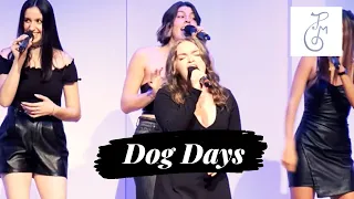 "Dog Days Are Over" - Florence + The Machine  (TrebleMakers A Cappella)