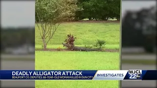 After SC woman dies in alligator attack, neighbors say they've told Sun City about the reptiles