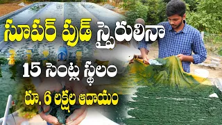 డిమాండ్ ఉన్న పంట - స్పైరులినా || ఏ తిప్పలు లేకుండా మార్కెటింగ్ || Spirulina Farming || Bharat