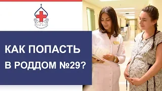 Как попасть в Роддом №29