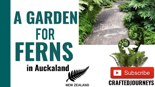 Exploring Ferns Garden in Auckland | Botanical Wonderland New Zealand