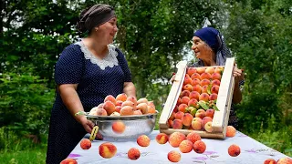 Natural Peach Juice, Jam and Making Peach Cake | Relaxing Village Life Azerbaijan