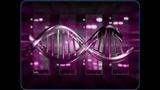 DNA (Spanish Version) - Kevin Karla