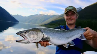 Bull Trout In Beautiful Glacier Lake