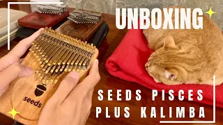 ✨ Unboxing NEW 2023 Seeds Pisces Plus 41-key Kalimba 💖