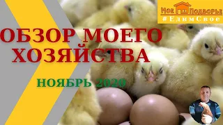 Обзор хозяйства. "Мое Подворье". "Мое Подворье"