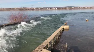 Наполнение Тайганского водохранилища