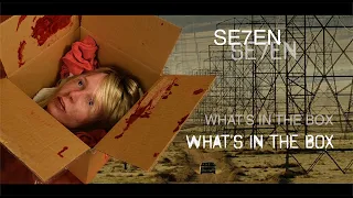 Se7en Movie Prop 'What's In The Box' Scene / Silicone Gwyneth Paltrow Head / Seven Ending